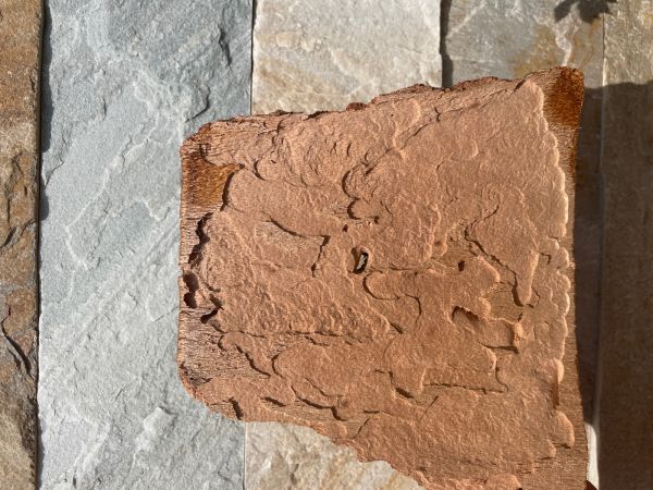 A - nejednoznačne určen&yacute;, nie sme si ist&iacute;