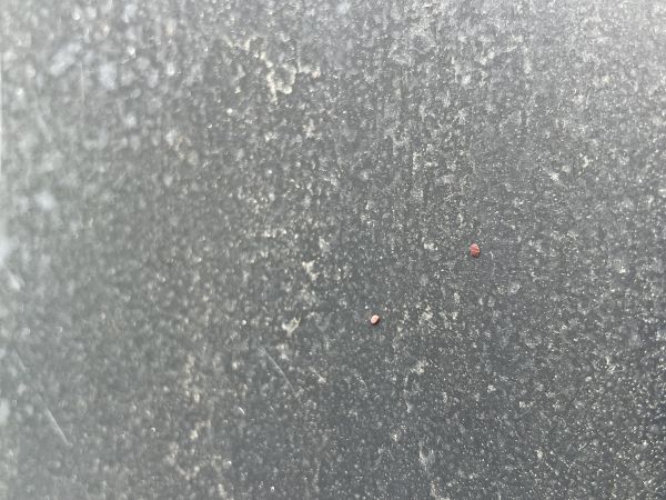 A - nejednoznačne určen&yacute;, nie sme si ist&iacute;