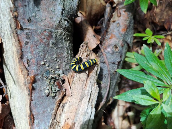 A - nie je v datab&aacute;ze