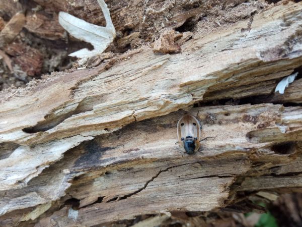 A - nie je v datab&aacute;ze