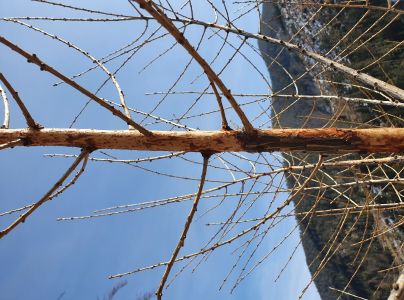 A - nejednoznačne určen&yacute;, nie sme si ist&iacute;