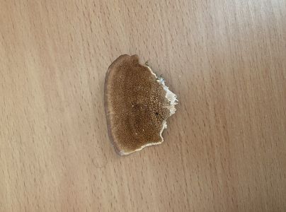 A - nie je v datab&aacute;ze