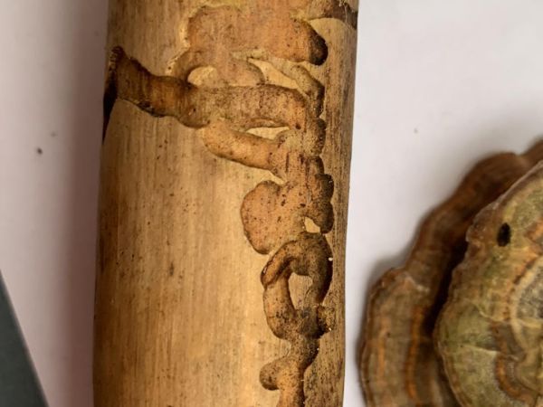 A - nie je v datab&aacute;ze