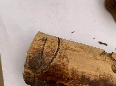 A - nie je v datab&aacute;ze