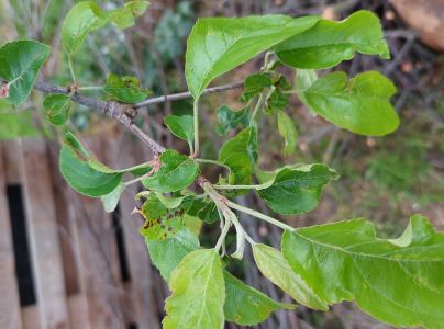 A - nie je v datab&aacute;ze