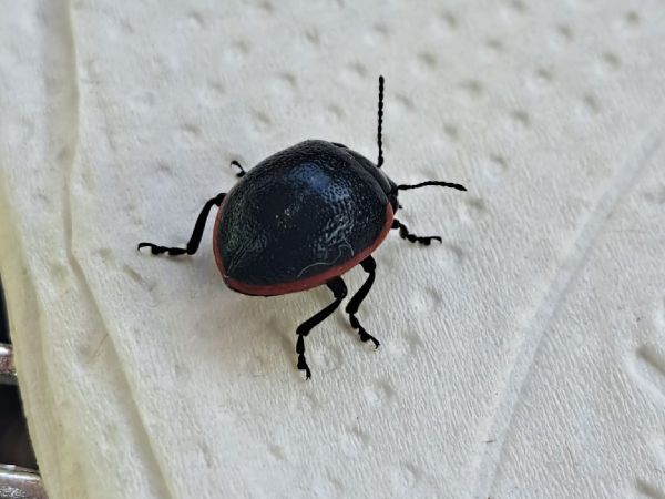 A - nie je v datab&aacute;ze