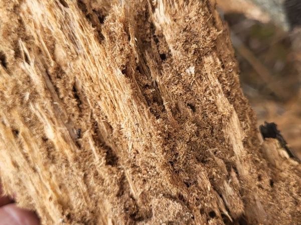 A - nie je v datab&aacute;ze