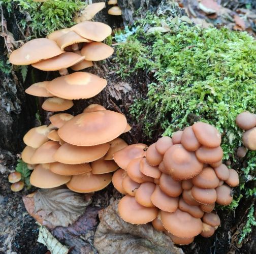 Martina Sucháňová 