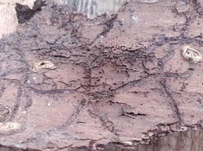 A - nie je v datab&aacute;ze