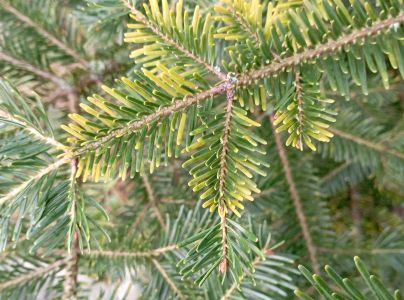 A - nie je v datab&aacute;ze