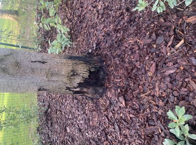 A - nejednoznačne určen&yacute;, nie sme si ist&iacute;