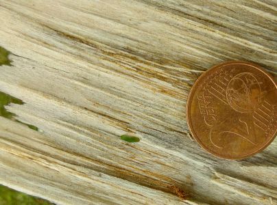 A - nejednoznačne určen&yacute;, nie sme si ist&iacute;