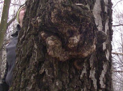 Ry&scaron;avec &scaron;ikm&yacute;