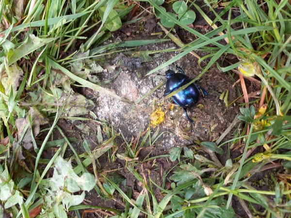 A - nie je v datab&aacute;ze