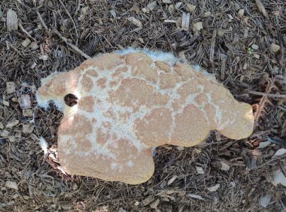 A - nie je v datab&aacute;ze