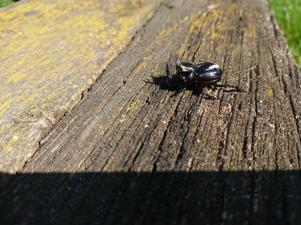 A - nie je v datab&aacute;ze