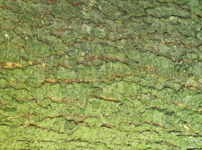 A - nie je v datab&aacute;ze