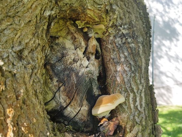 A - nie je v datab&aacute;ze