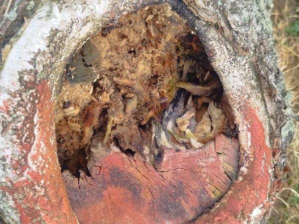 A - nie je v datab&aacute;ze