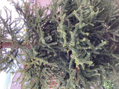 A - nie je v datab&aacute;ze