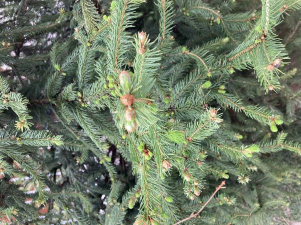 A - nie je v datab&aacute;ze