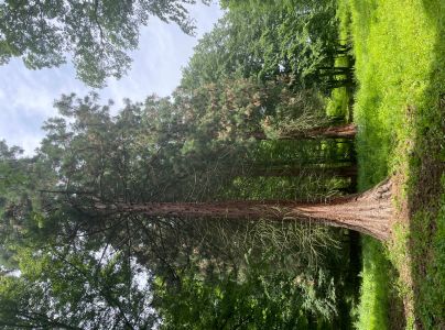 A - nie je v datab&aacute;ze