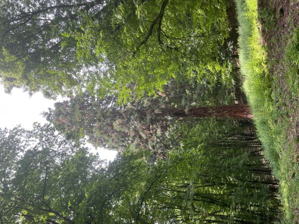 A - nie je v datab&aacute;ze