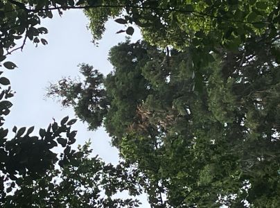 A - nie je v datab&aacute;ze