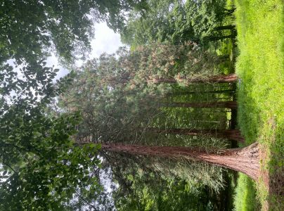 A - nie je v datab&aacute;ze