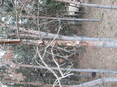 A - nejednoznačne určen&yacute;, nie sme si ist&iacute;