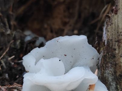 A - nie je v datab&aacute;ze