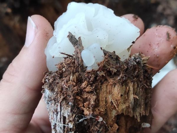 A - nie je v datab&aacute;ze