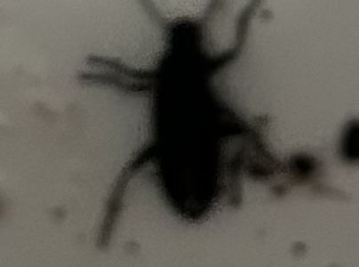 A - nie je v datab&aacute;ze