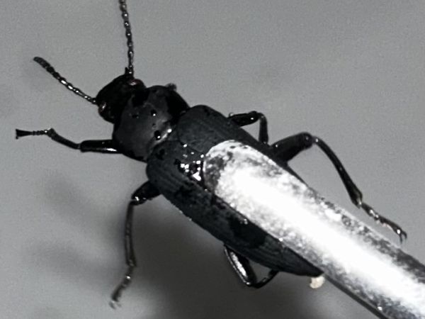 A - nie je v datab&aacute;ze