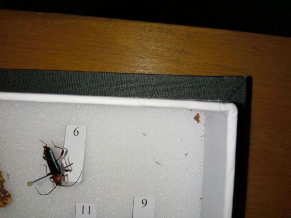 Fuz&aacute;č skladov&yacute;