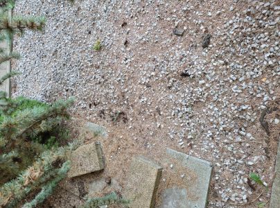 A - nejednoznačne určen&yacute;, nie sme si ist&iacute;