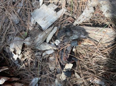 A - nejednoznačne určen&yacute;, nie sme si ist&iacute;