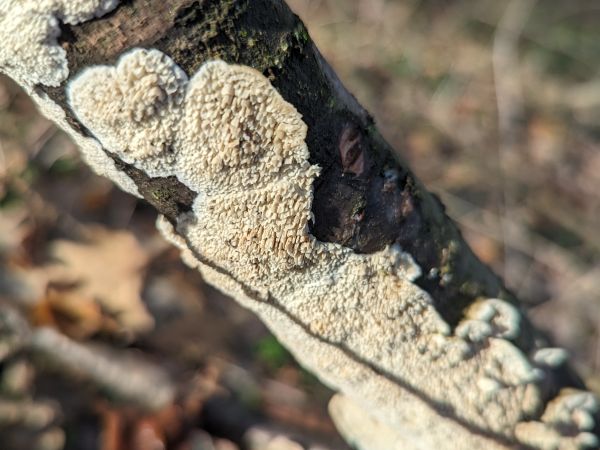 A - nie je v datab&aacute;ze