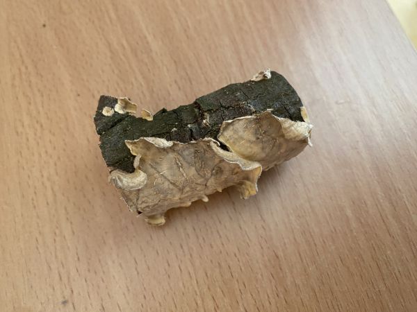 A - nejednoznačne určen&yacute;, nie sme si ist&iacute;