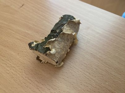 A - nejednoznačne určen&yacute;, nie sme si ist&iacute;