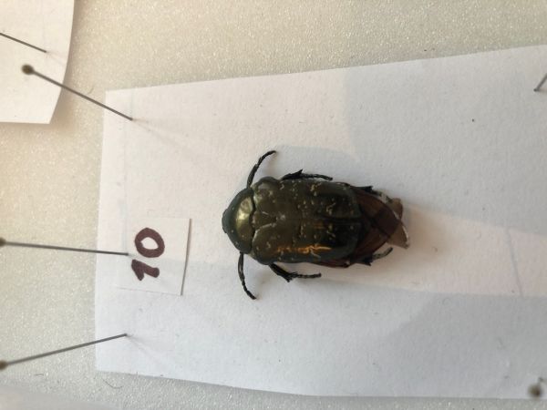 A - nie je v datab&aacute;ze