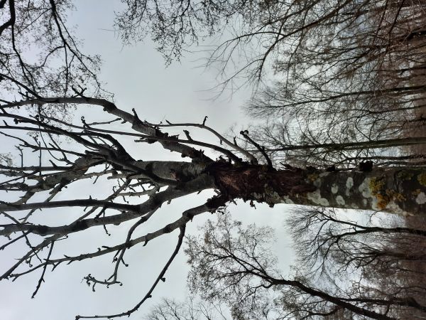 A - nejednoznačne určen&yacute;, nie sme si ist&iacute;