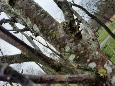 A - nejednoznačne určen&yacute;, nie sme si ist&iacute;