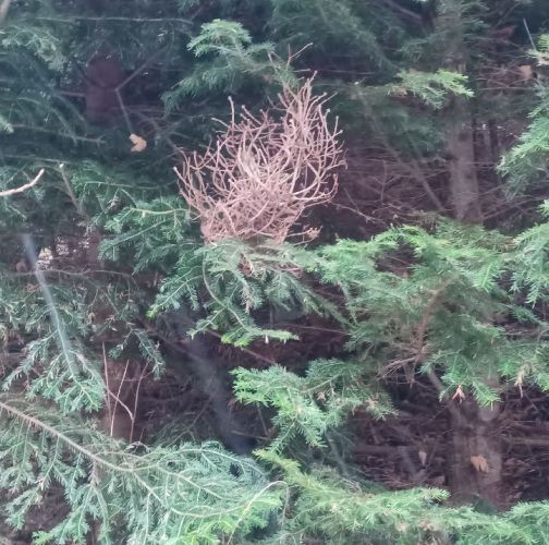 Slavomír Nábočík