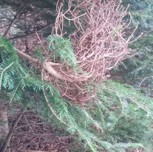 Slavomír Nábočík