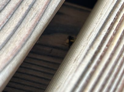 A - nejednoznačne určen&yacute;, nie sme si ist&iacute;