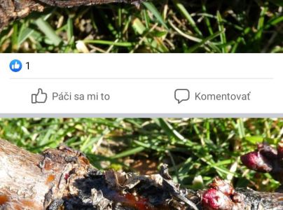 A - nie je v datab&aacute;ze