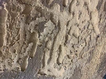 A - nejednoznačne určen&yacute;, nie sme si ist&iacute;