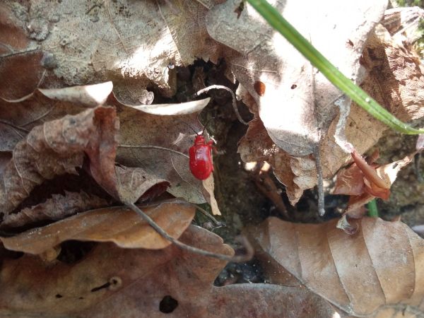 A - nie je v datab&aacute;ze