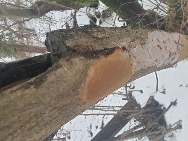 A - nie je v datab&aacute;ze